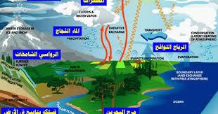 Tidak hanya kegiatan yang dilakukan setiap makhluk hidup saja yang menghasilkan karbon, makhluk hidup Makalah Siklus Hidrologi Lengkap Gambar Tentang Bimbingan Dan Konseling