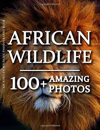 Coffee table books that are worthy enough to be front and center in your living room. 31 Best Animal Photography Books Of All Time Bookauthority