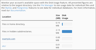 how to view disk usage information in cpanel