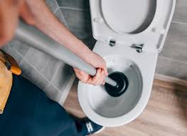 The mc woohoo mod pops up when i first load up the game but when i click on a sim it doesn't. Les Astuces Pour Deboucher Un Sanibroyeur