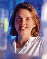 Inside This Issue From the Chairman Anatomic Pathology A Short Tour of the  Renal Pathology Division