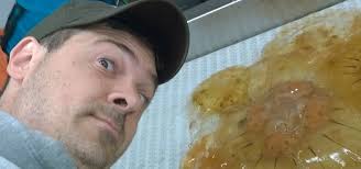 NOAA Teacher at Sea Blog