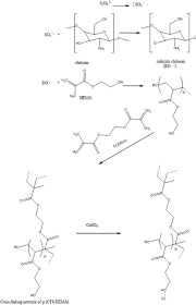 Virtual architect kitchen & baths 10. Development Of A Novel Imac Sorbent For The Identification Of Melamine In Dairy Products By Hplc Sciencedirect