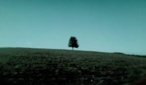 Six Feet Under — Set-Jetter