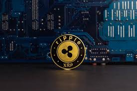 Since january 1, the total market capitalization of the digital asset industry has grown from $776 billion to $1.56 trillion. Ripple For Beginners Ripple 101 Ripple Xrp Course