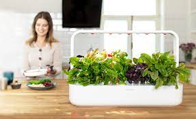 Let's start this click and grow review by looking at · over 6 months ago, i ordered a click and grow smart garden 9 for reviewing it on this site, and to grow some fresh greens at home. Click And Grow Smart Garden 9 Review Six Months