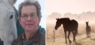 Peter Granath: "Ta alla WFFS-positiva hingstar ur aveln"