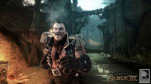 Hey i have the fable 2 360 but i don't know how to play it on the pc can you tell me how to. Fable 3 Erstellt Den Dorfbewohner Eurer Traume News Gamersglobal De