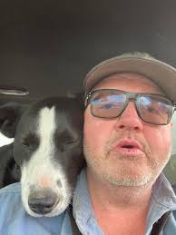 Lost dog in Williston village mobile homes?