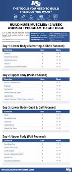 Build Huge Muscles 12 Week Workout Program To Get Huge 12 Week Workout Weekly Workout Workout Programs
