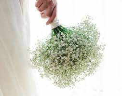 Pin Di Flowers
