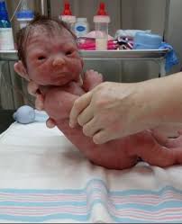 Birds And Bees Nursery Julie Molloy Birds Bees Nursery Silicone Babies Silicone Reborn Babies Realistic Baby Dolls Baby Dolls For Sale