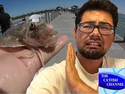 Robin Fish's Instagram, Twitter & Facebook