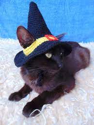 Witch Hat For Cat Halloween Pet Costume Crocheted Witch Hat Etsy In 2021 Pet Halloween Costumes Hat For Cat Pet Costumes