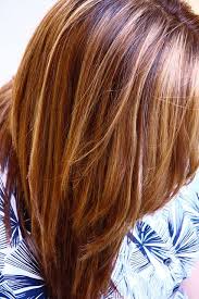 Warm Brown With Blonde And Honey Highlights Brown Hair With Highlights Hair Styles Hair Highlights