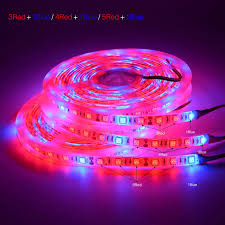 We did not find results for: 5m Plant Grow Light Strip 60leds M 12v Smd 5050 Red Blue 3 1 4 1 5 1 Indoor Growing Lights Waterproof Full Spectrum Phyto Lamp Led Grow Lights Aliexpress