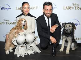 Willem dafoe dog sleds across the tundra in disney+'s new movie 'togo': Disney S Lady And The Tramp Remake Stars Posed With Dogs They Voice