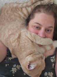 Kitten Smapshot: Cayo. The third of five orange brothers born to orange  momma Bliss. This one loves to bat little jingle balls around. He will  gently roll the ball back to you