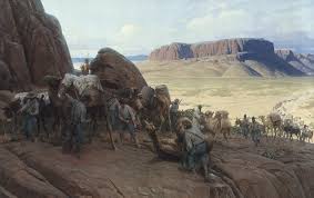 Under edward fitzgerald beale, a former superintendent of indian affairs for california and nevada, the first camel surveying throughout the years, the camels would do other various experiments. Featured Collection Camels In Texas Out Of The Stacks