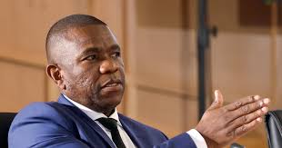 Matlala reveals meeting with Mkhwanazi to discuss SAPS R360m contract