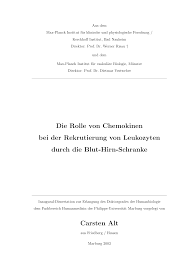 Select file cabinets with varying storage like a single drawer or ones with two or three drawers. Http Archiv Ub Uni Marburg De Diss Z2004 0352 Pdf Dca Pdf