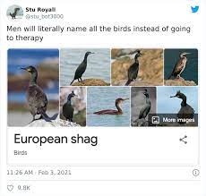 Here you can find out who your celebrity twin is. 28 Bird Species Whose Names Prove Ornithologists Have A Sense Of Humor Bored Panda