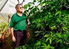 Image result