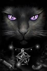 Beautiful Black Cat With Purple Eyes Black Cat Purple Eyes Black Cat Art Cat Art Cat Posters