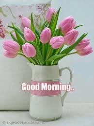 Good Morning Pretty Flowers Pink Tulips Beautiful Flowers