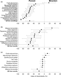 Image result for Rytigynia ruwenzoriensis