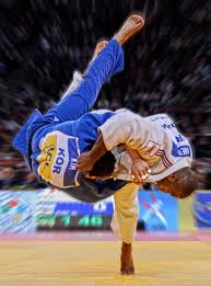 Judo, résultats des tournois et championnats de judo : Succes De Teddy Riner Lors Du Tournoi De Paris Le 10 Fevrier 2013 Judo Sports Fights Martial Arts