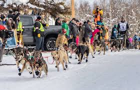 If conditions are poor, such as extreme cold or fresh snow, the dogs' speed can drop to 6 or 7 miles per hour. Alaska Native Is First Yup Ik Musher To Win The Iditarod Npr