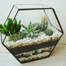 Octahedral Geometric Glass Terrarium Plant Box 7 Face With Glass And 1 Face Opening Terrarium Plants Geometric Terrarium Geometric Terrarium Diy