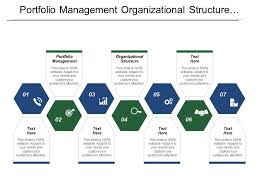 Portfolio Management Organizational Structure Organizational