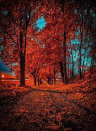 1080p cool wallpapers hd pixelstalk net. Background Images Hd Nature For Editing Freewalldroid