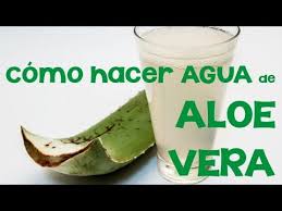 M El Aloe Vera Es Una De Las Plantas Medicinales Por Excelencia Debido A Sus Numerosas Propiedades Bebida De Aloe Vera Como Tomar Aloe Vera Jugo De Aloe Vera