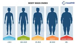 Image result for Obesity