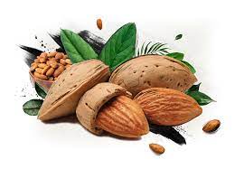 See more ideas about harvest pictures, harvest, almond. Almond Inc International Nut And Dried Fruit Council