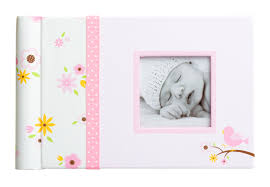 Lil Peach Bird Brag Book Baby Memory Keepsake Perfect Gift For Expecting Parents Pink Walmart Com