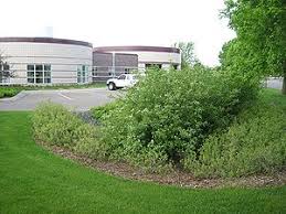 This rain garden will channel water runoff and color your landscape with blooms of pink, yellow and white. Bioretention Minnesota Stormwater Manual