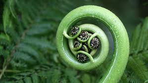 Can politics express our love? Recovering the art of the impossible