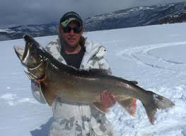 Matt S Monster Lake Trout Lake Trout Pinedale