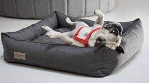 Bowsers high memory furniture grade fibre fill will ensure long lasting use and enjoyment. 10 Best Dog Beds To Pamper Your Pooch Starting From Just 15