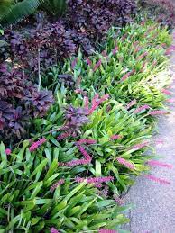 Pin On Tuin