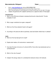 Activity 2 2 3 The Biochemistry Of Food