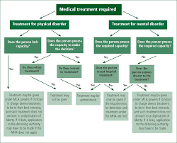 Image result for Medical Decision-Making Capacity
