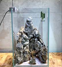 Pin Oleh Bachphi Aquascape Di Hồ Nui đa