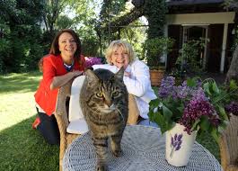 Mediathek aufrufen und online fernsehen. Uschi Dammrich Von Luttitz Vip Garten 2017