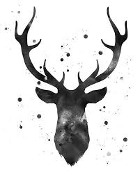 Black And White Deer Head Drawing Pin On Advertisement 24 365
