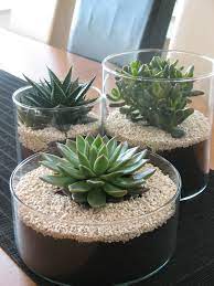 Delicious Concepts Garden World The26 Best Over All The26 Best Delicious Garden Concepts All Over Plants Succulent Garden Indoor Succulent Garden Diy